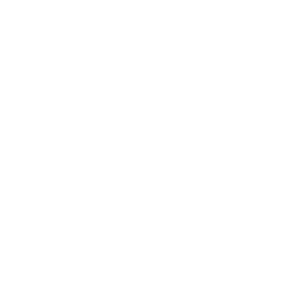 Logo Strive Enterprise 